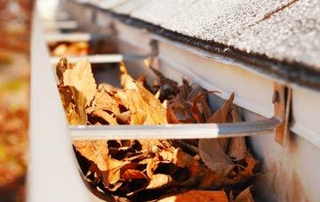 Watlington gutter cleaning companies