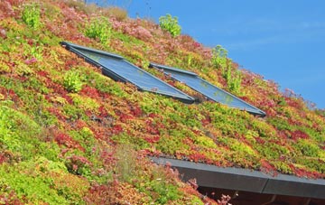Watlington living roof systems