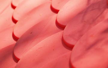 Watlington plastic roof costs
